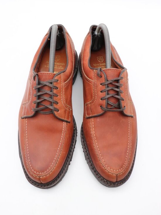 Allen Edmonds Wilbert Men\ display picture 1